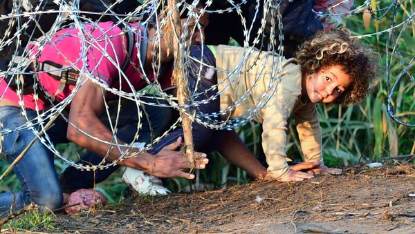 Migrantes cerca de la frontera húngaro-serbia - Sputnik Mundo