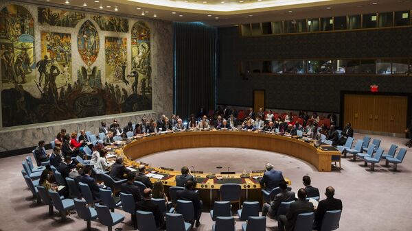 Consejo de Seguridad de la ONU en la sede en Nueva York (archivo) - Sputnik Mundo