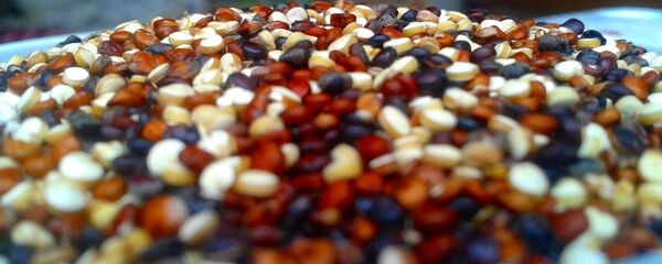 Quinua (archivo) Quinua (archivo) - Sputnik Mundo