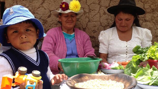 Redistribución de la riqueza es el mayor logro social de Bolivia - Sputnik Mundo