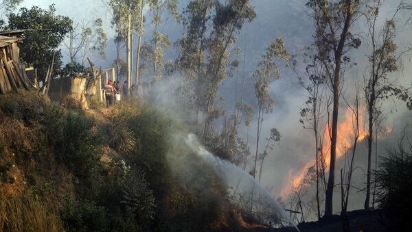 Incendio forestal en Ecuador (archivo) - Sputnik Mundo