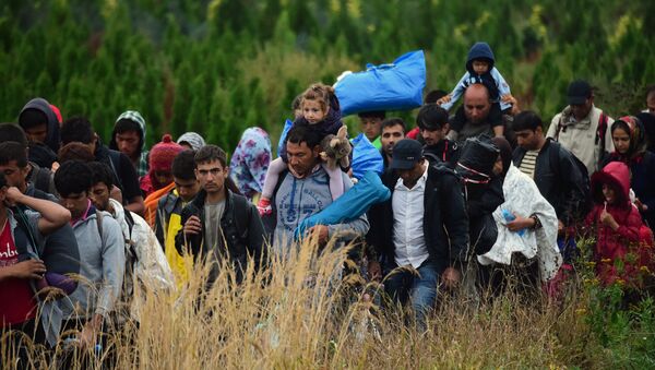 Migrants make their way through the countryside after they crossed the boarder near the village of Zakany in Hungary to continue their trip to Gemany on September 20, 2015. - Sputnik Mundo