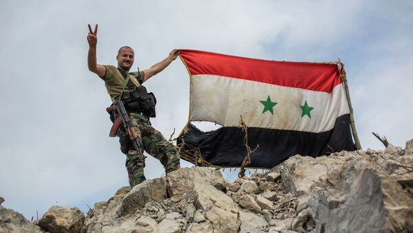 A government soldier with the Syrian flag on a location on top of a hill not far from Kessab on the Turkish border following an Islamist takeover of the town - Sputnik Mundo