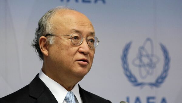 Director General of the International Atomic Energy Agency, IAEA, Yukiya Amano of Japan speaks during a news conference after a meeting of the IAEA board of governors at the International Center in Vienna, Austria - Sputnik Mundo