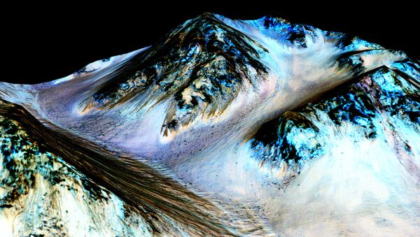 La NASA considera la vida en Marte tras confirmar agua en su superficie - Sputnik Mundo