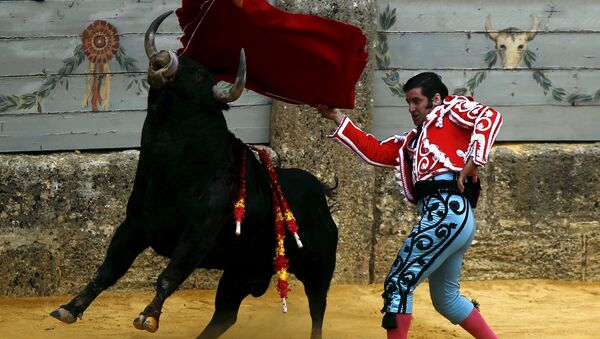 Corrida de toros en España - Sputnik Mundo