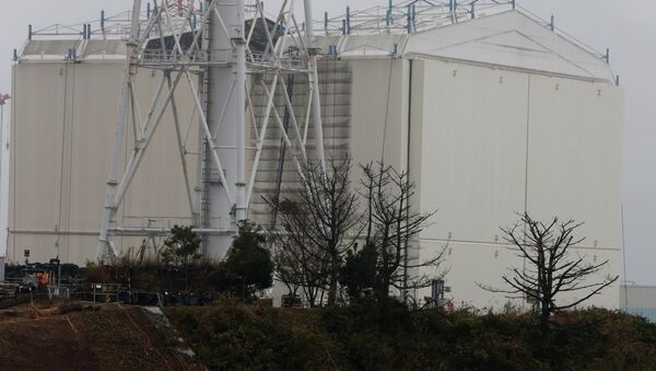 Retiran la cúpula protectora sobre Fukushima - Sputnik Mundo