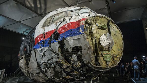 Los restos del avión MH17 derribado en el este de Ucrania - Sputnik Mundo