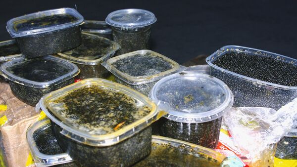 Caviar negro confiscado (archivo) - Sputnik Mundo