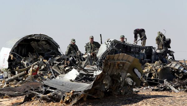 Investigadores rusos examinan los restos del avión ruso Airbus-321 siniestrado en Egipto - Sputnik Mundo