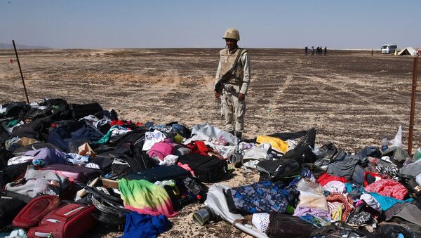 Maletas y cosas personales de los pasajeros del A321 en el lugar del siniestro en Egipto - Sputnik Mundo