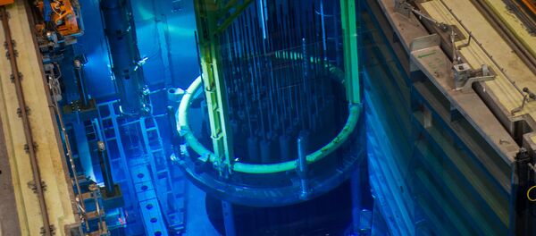 Un reactor nuclear (imagen referencial) Un reactor nuclear (imagen referencial) - Sputnik Mundo