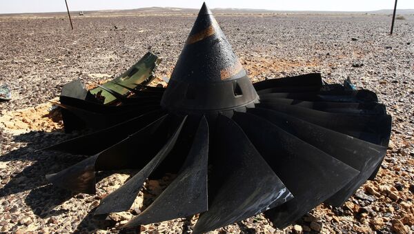 EEUU dispuesto a unirse a la investigación del siniestro del A321 en Egipto - Sputnik Mundo