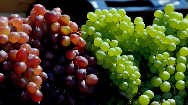 Comer 12 uvas es un ritual común de fin de año en Latinoamérica - Sputnik Mundo