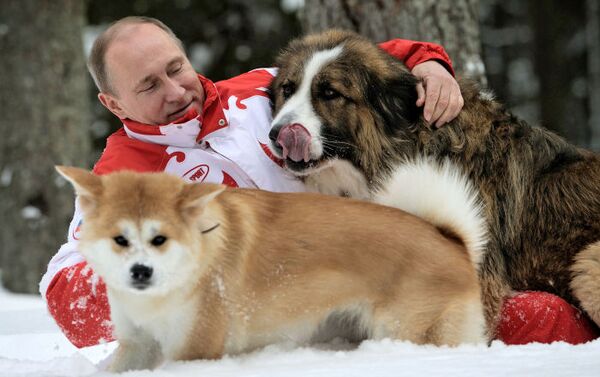 Vladímir Putin con sus perros - Sputnik Mundo