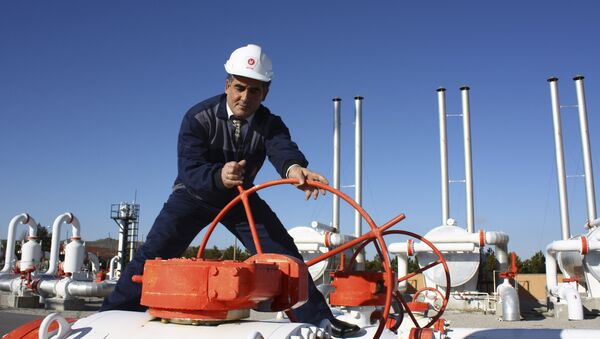 Un trabajador de la empresa gasística turca BOTAS - Sputnik Mundo