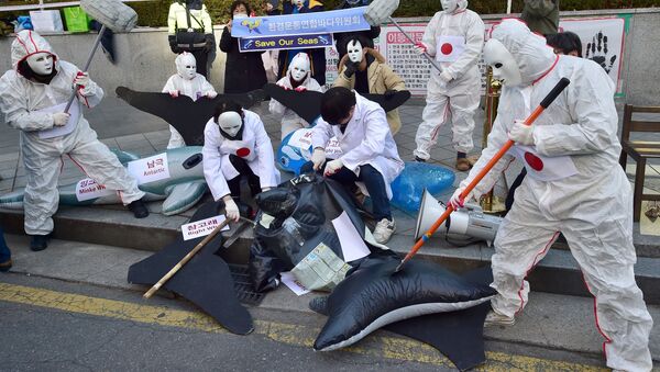 Manifestación en contra de la pesca ballenera de Japón - Sputnik Mundo