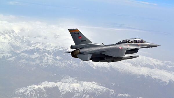 Caza de la Fuerza Aérea de Turquía - Sputnik Mundo