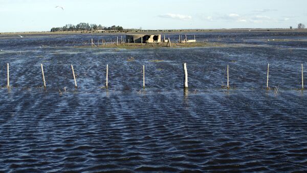 Inundaciones como consecuencias de las lluvias en Argentina en agosto de 2015 - Sputnik Mundo