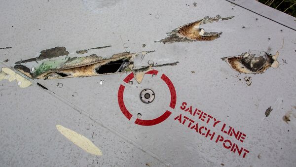 La catástrofe de MH17 en el este de Ucrania en 2014 - Sputnik Mundo