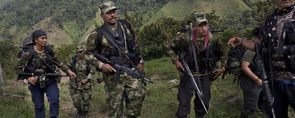 Combatientes de las FARC Combatientes de las FARC - Sputnik Mundo