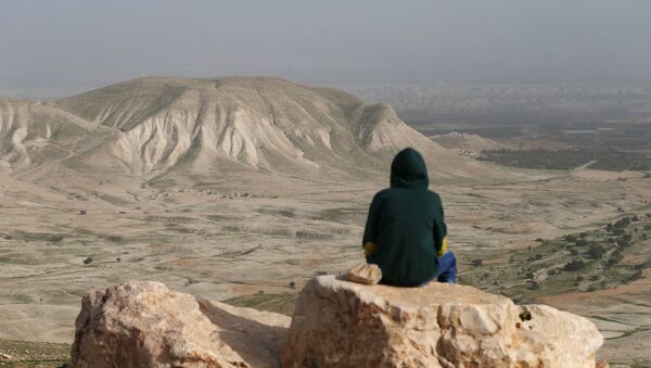 A Palestinian man sits on a rock at Jordan Valley near the West Bank city of Jericho January 21, 2016. - Sputnik Mundo