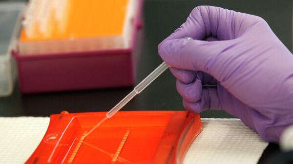 Un científico trabaja con muestras de ADN en su laboratorio - Sputnik Mundo