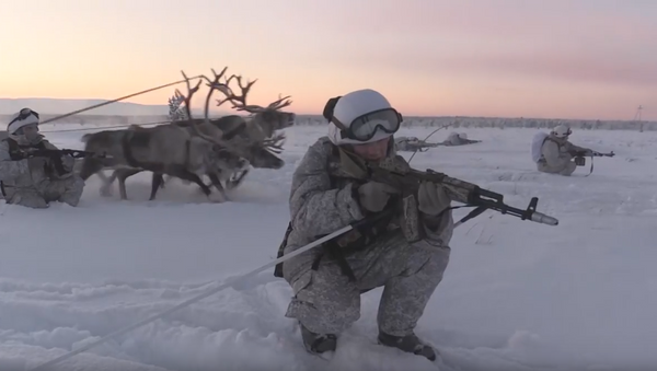 Huskies y ciervos al servicio militar - Sputnik Mundo