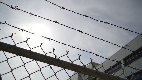 Cárcel, imagen referencial (archivo) - Sputnik Mundo