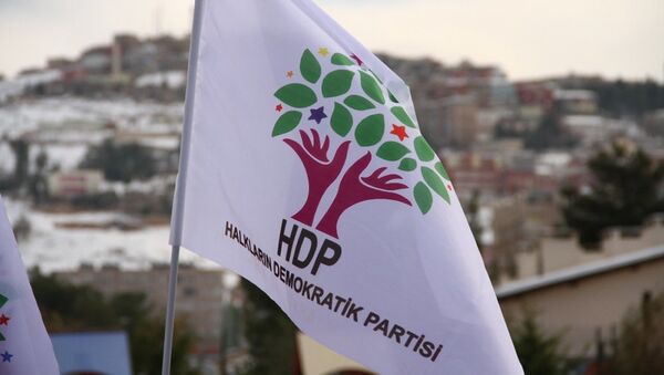 La bandera de HDP - Sputnik Mundo