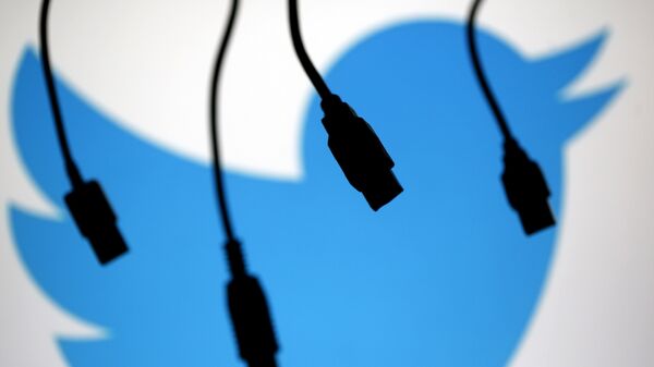 Electronic cables are silhouetted next to the logo of Twitter in this illustration photo in Sarajevo - Sputnik Mundo