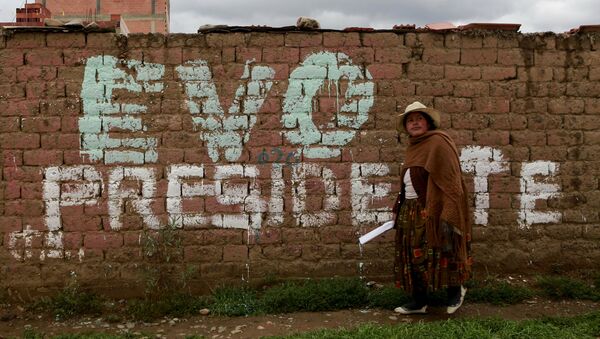 Una mujer boliviana en las afueras de La Paz, Bolivia - Sputnik Mundo