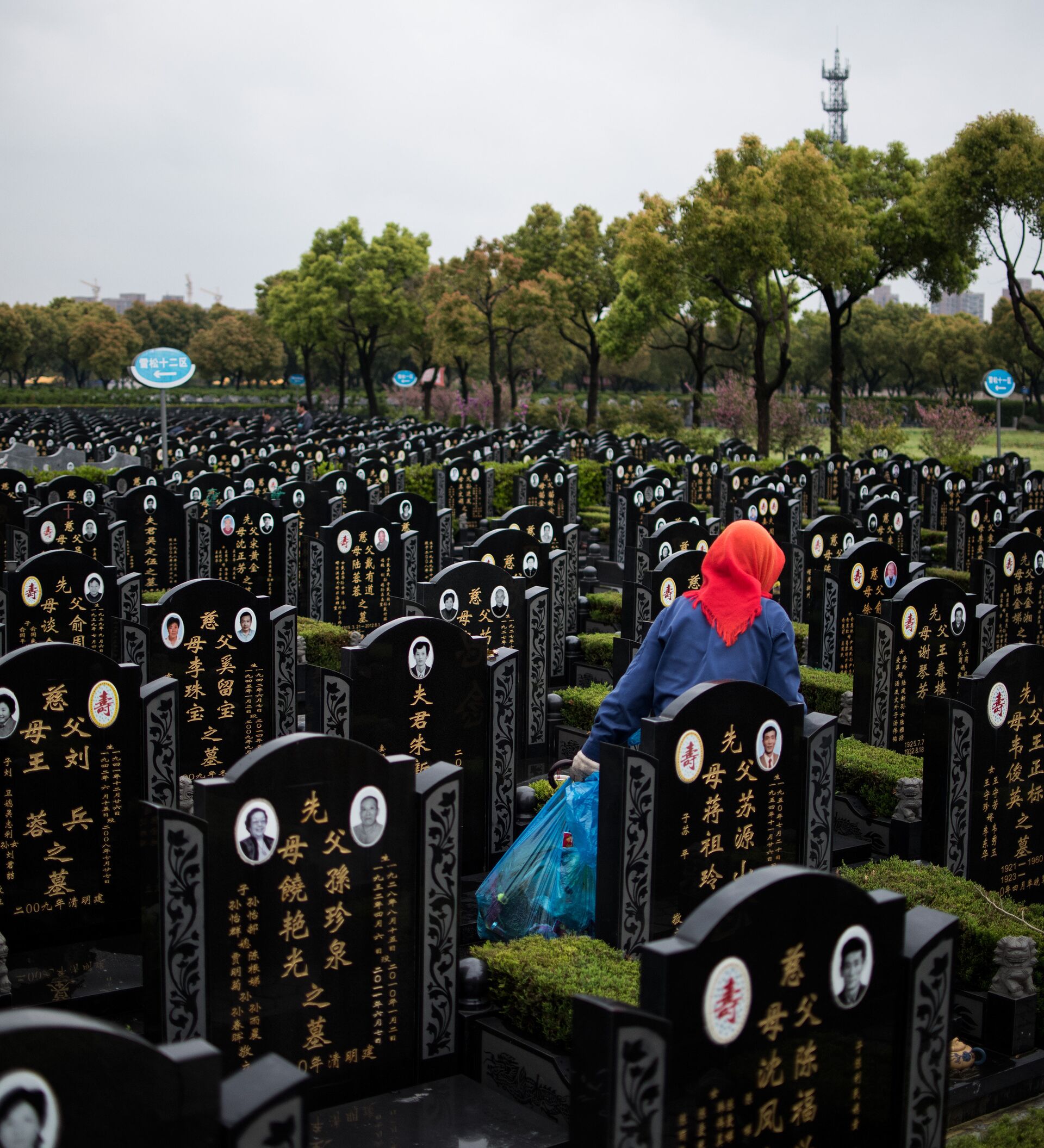 Как выглядят корейские кладбища. Тайбэй Тайвань кладбище. Китайское кладбище. Кладбища у китайцев. Могилы в Китае.