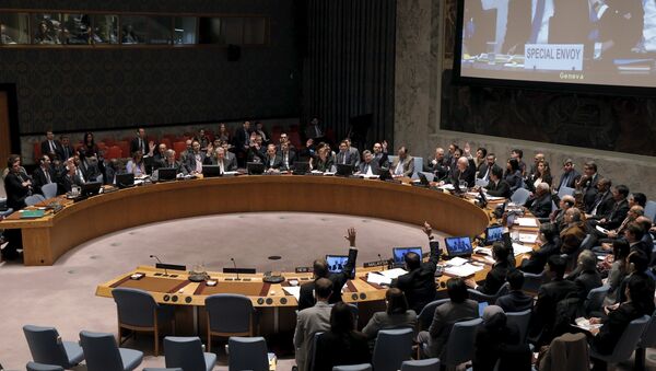 CS de la ONU respalda alto el fuego en Siria - Sputnik Mundo