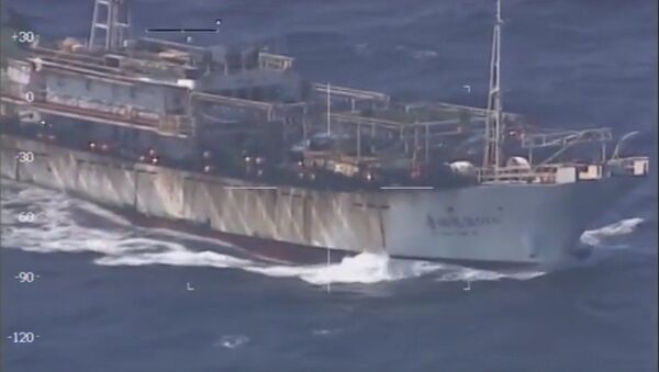 Barco chino pesca ilegalmente en aguas argentinas - Sputnik Mundo