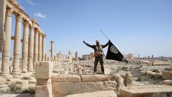 A historic site in the Syrian city of Palmyra destroyed in the military operations. - Sputnik Mundo