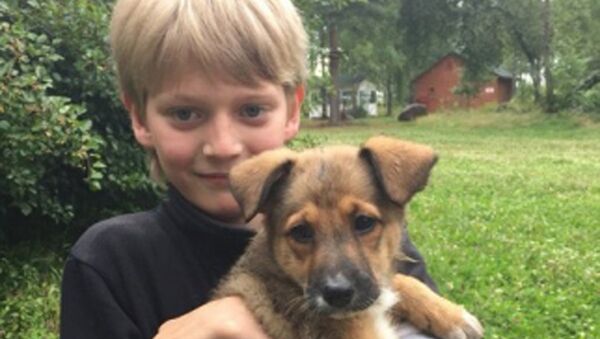 Iván Kurenniy, un niño que salvó a un perro del fuego - Sputnik Mundo