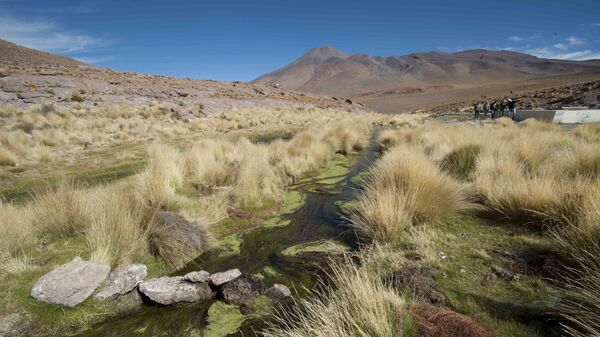 Water runs in one of the springs in Silala, south of La Paz - Sputnik Mundo