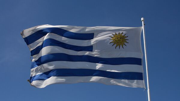 La bandera de Uruguay - Sputnik Mundo