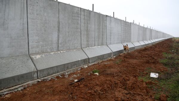 A dog walks near a wall measuring some six metres high, which activists say was put up by Turkish authorities, on the Syria-Turkey border in the western Syrian countryside of Ras al-Ain on February 2, 2016. - Sputnik Mundo