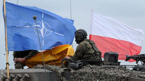 Soldados polacos durante las maniobras de la OTAN Noble Jump - Sputnik Mundo