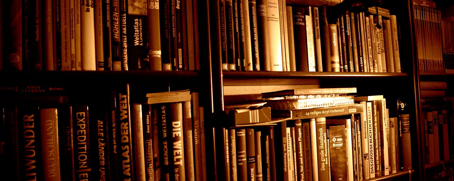 Libros (imagen referencial) Libros (imagen referencial) - Sputnik Mundo, 1920, 24.04.2021
