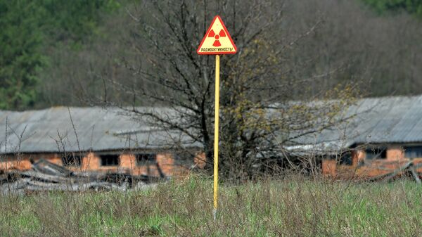 Sector bielorruso de la zona de exclusión de Chernóbil. - Sputnik Mundo