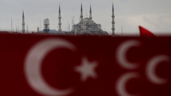 Bandera de Turquía en Estambul - Sputnik Mundo