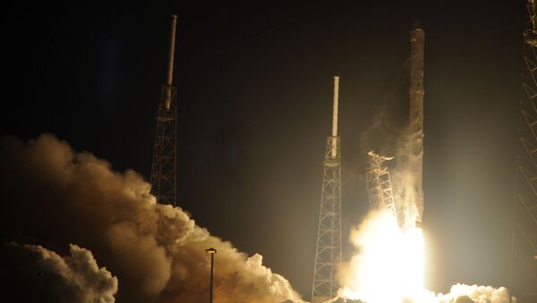 Lanzamiento del cohete SpaceX - Sputnik Mundo