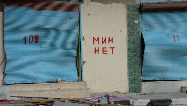 Frase 'Libre de minas' en un muro en Palmira - Sputnik Mundo