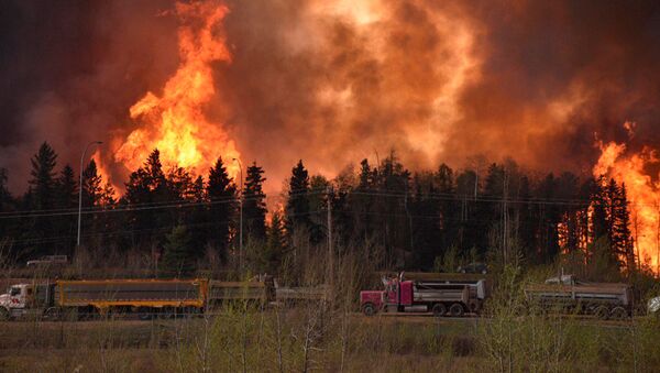 Aumenta en ocho veces la superficie de incendios forestales en Canadá - Sputnik Mundo