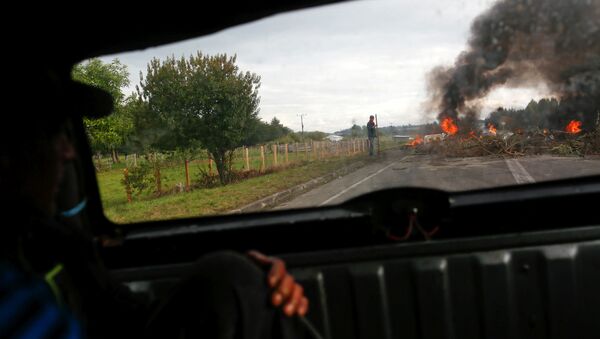 Manifestantes bloquean la carretera durante las protestas en la isla de Chiloé en Chile - Sputnik Mundo