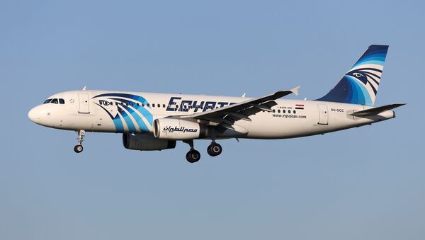 El avión de EgyptAir desaparecido, Bruselas, el 4 de enero de 2015 - Sputnik Mundo