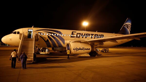 Airport security check an EgyptAir plane after it arrived from Cairo to Luxor International Airport, Egypt - Sputnik Mundo